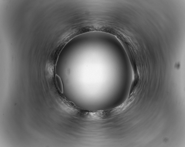 X0000099580188200805161245