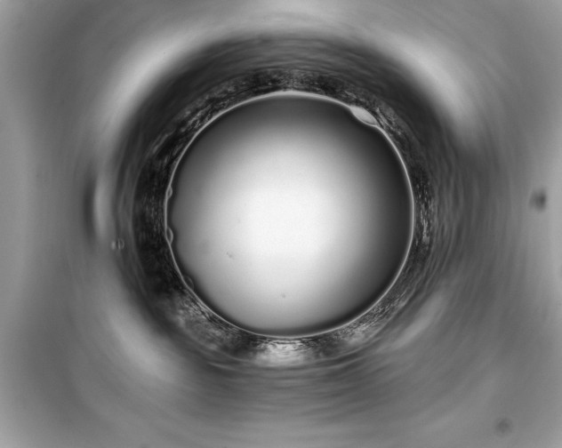 X0000099580189200805161245