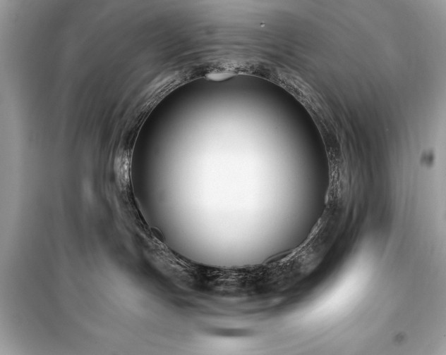 X0000099580191200805161245
