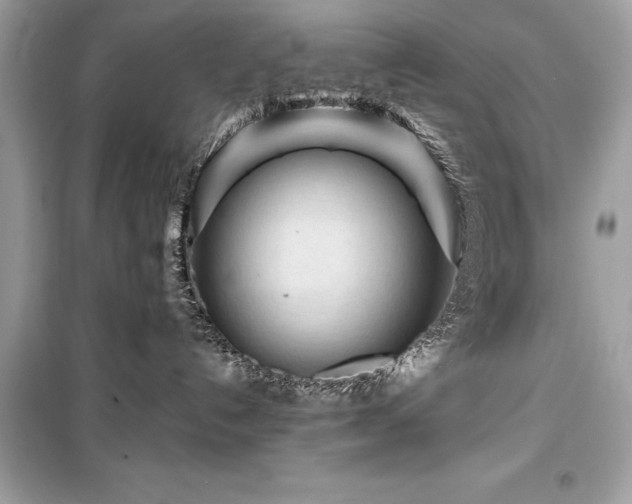 X0000099580192200805161245
