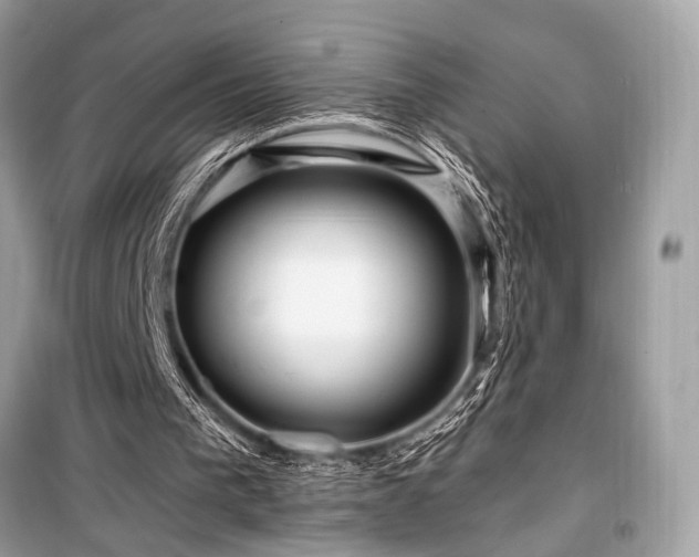 X0000099580193200805161244