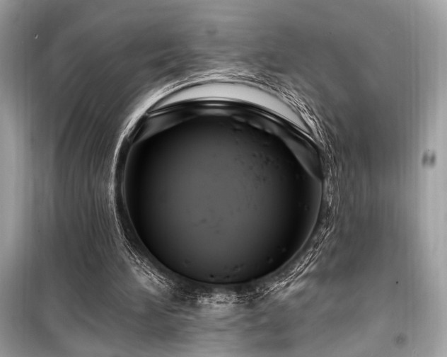 X0000099580196200805161244