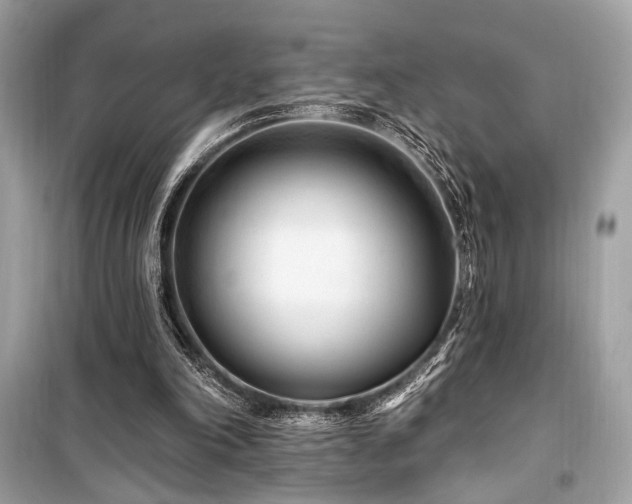 X0000099580198200805161244