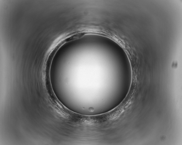 X0000099580199200805161244