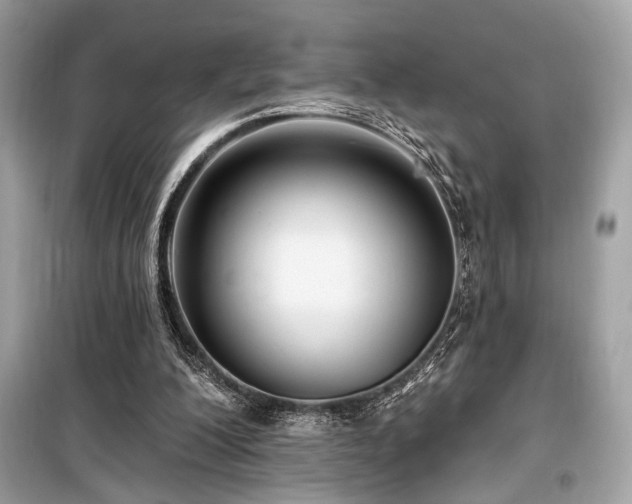 X0000099580200200805161244