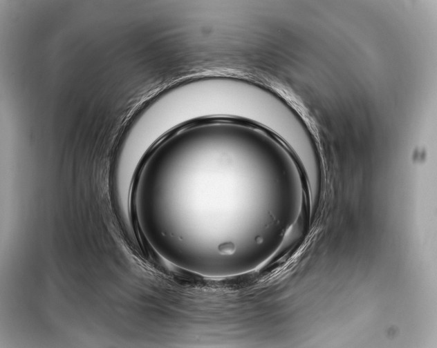X0000099580201200805161244