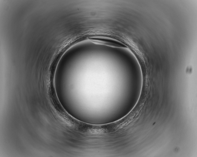 X0000099580202200805161244