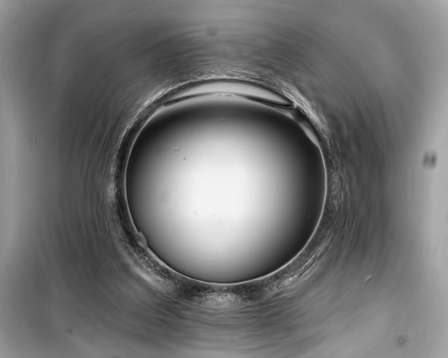 X0000099580203200805161244