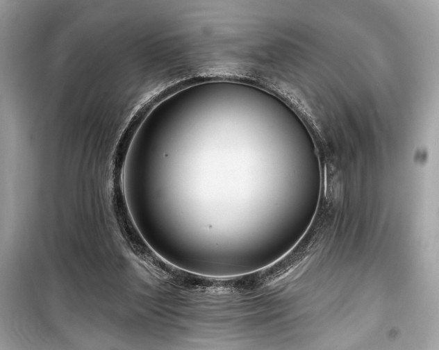 X0000099580204200805161244