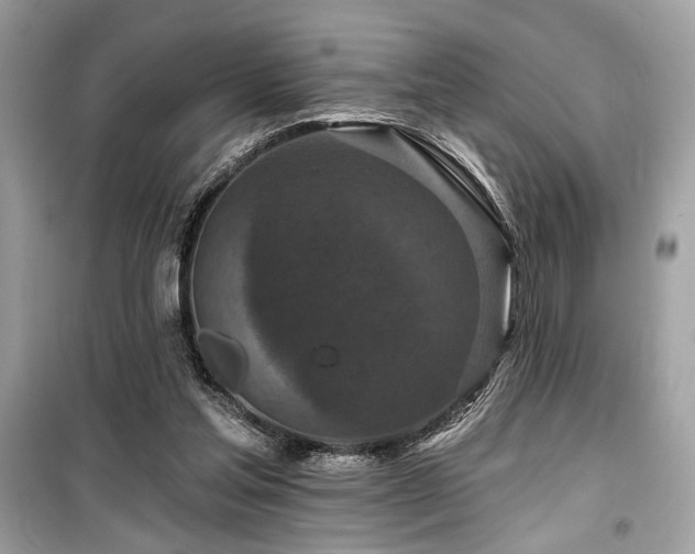 X0000099580205200805161244