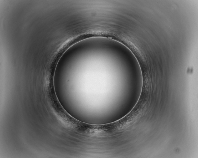 X0000099580208200805161244