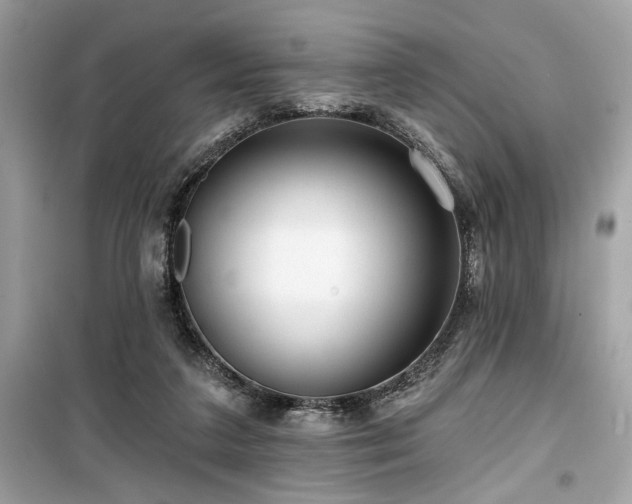 X0000099580211200805161244