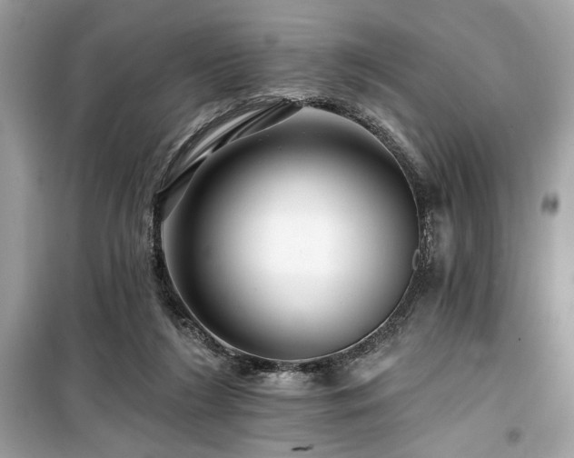 X0000099580212200805161244