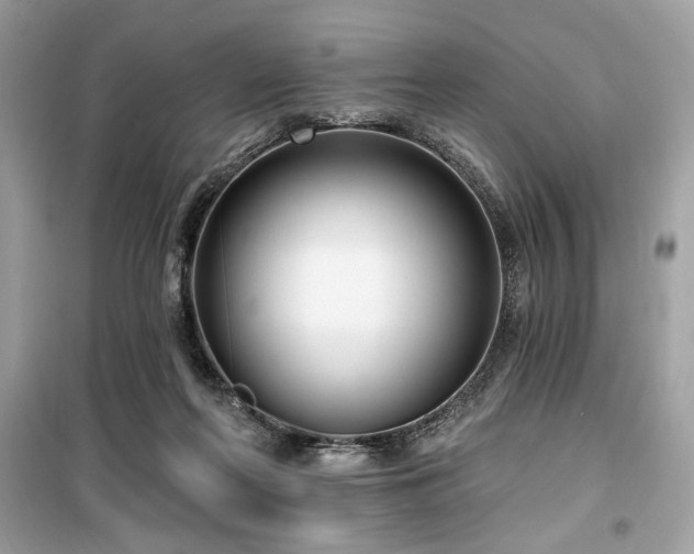 X0000099580214200805161244