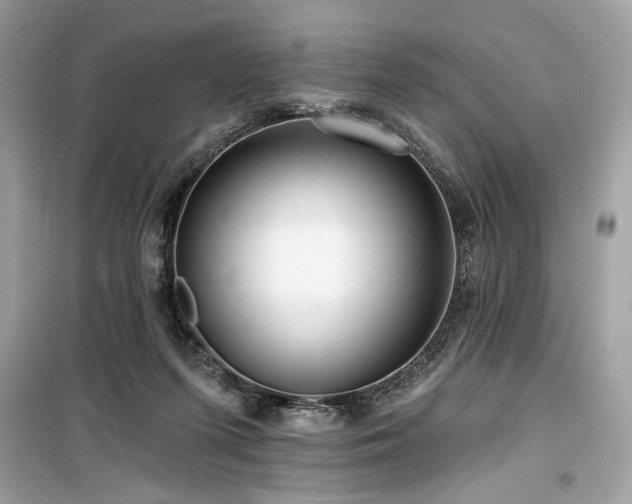 X0000099580215200805161243