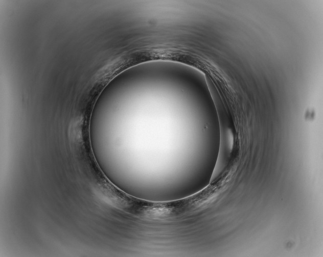X0000099580217200805161243