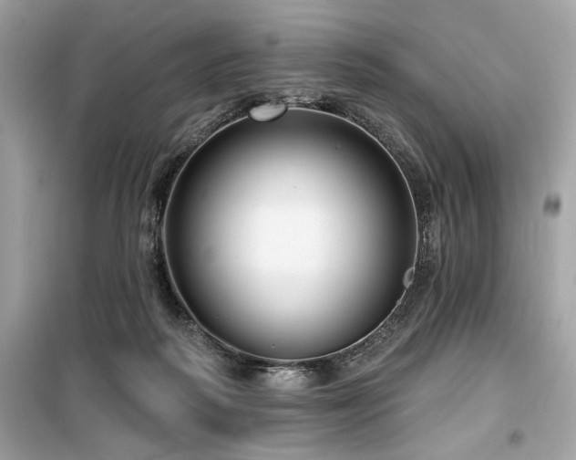 X0000099580218200805161243