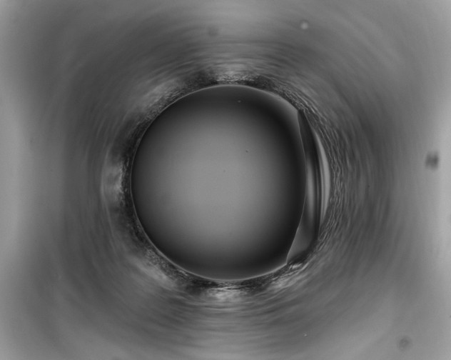 X0000099580219200805161243