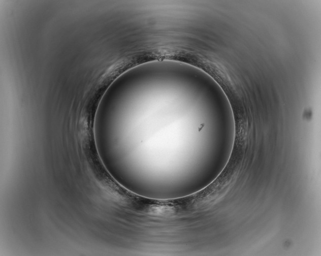 X0000099580220200805161243