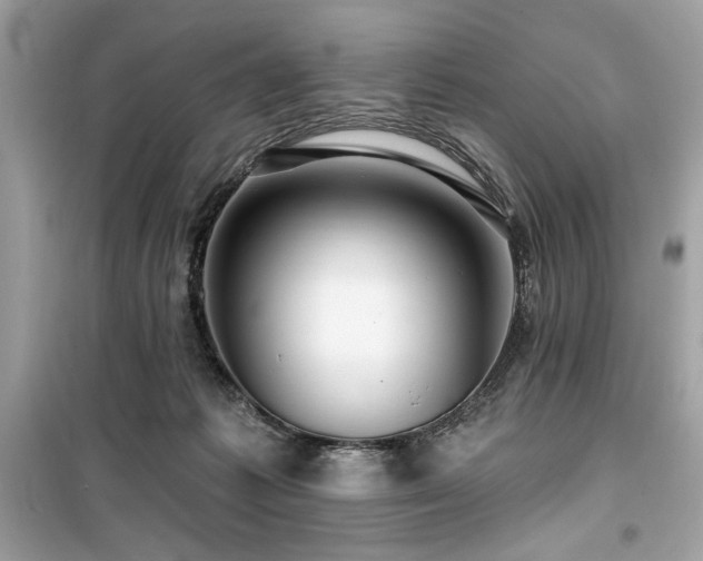 X0000099580221200805161243