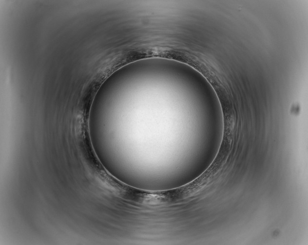 X0000099580222200805161243