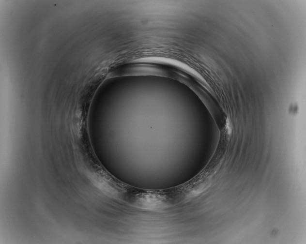 X0000099580223200805161243