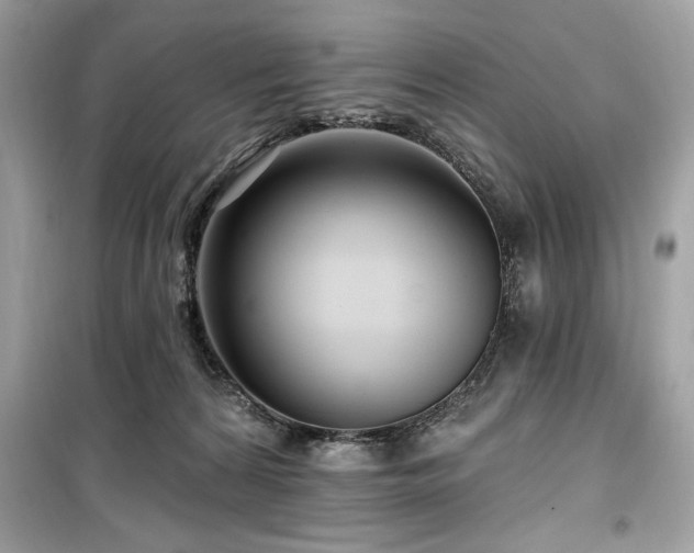 X0000099580224200805161243