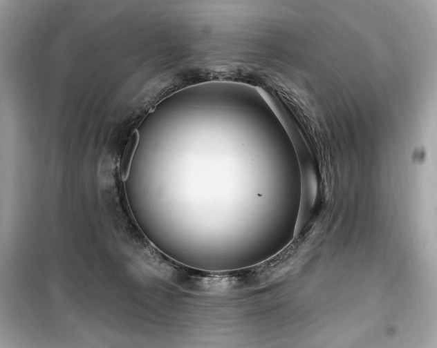 X0000099580225200805161243
