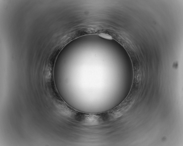 X0000099580226200805161243