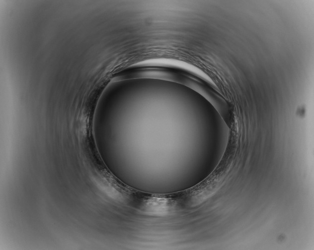 X0000099580227200805161243