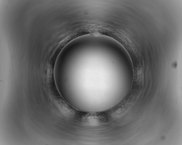 X0000099580228200805161243