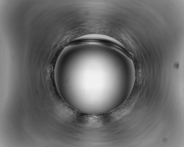 X0000099580229200805161243