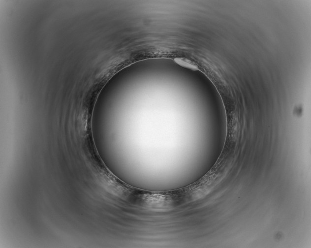X0000099580230200805161243