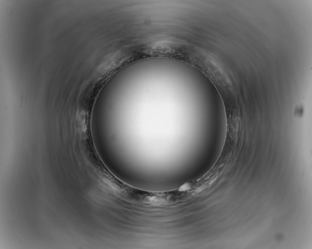 X0000099580232200805161243