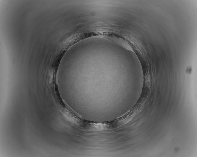 X0000099580233200805161243