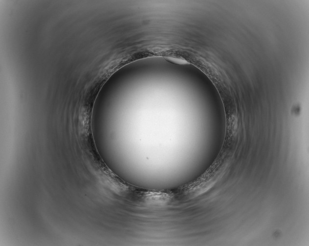 X0000099580234200805161243