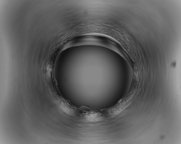 X0000099580235200805161243