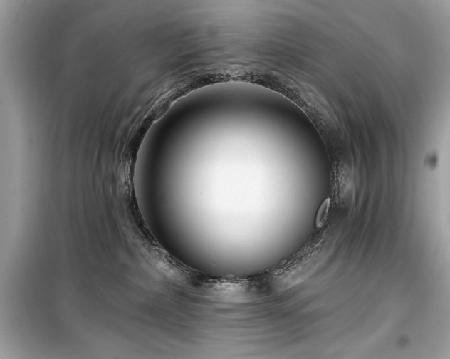 X0000099580236200805161243