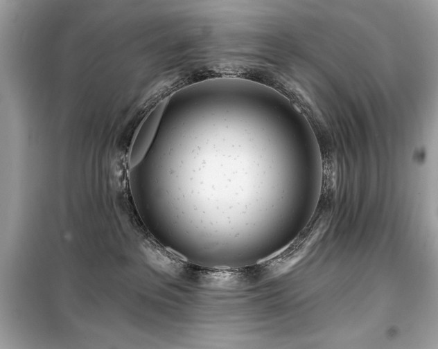 X0000099580237200805161243