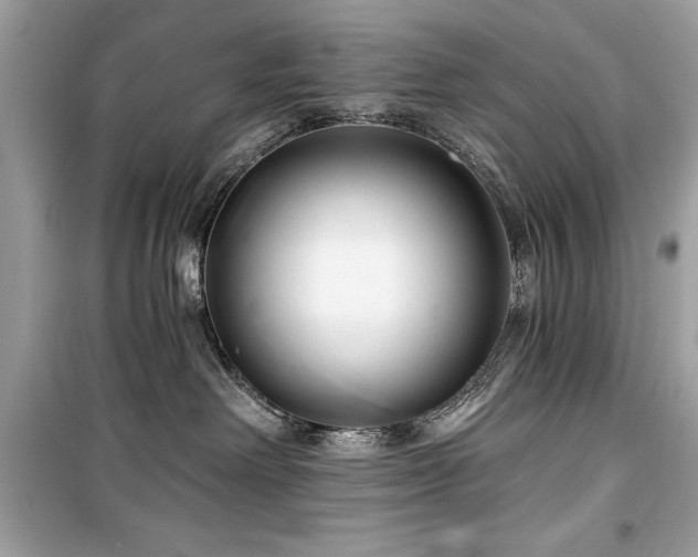 X0000099580238200805161243