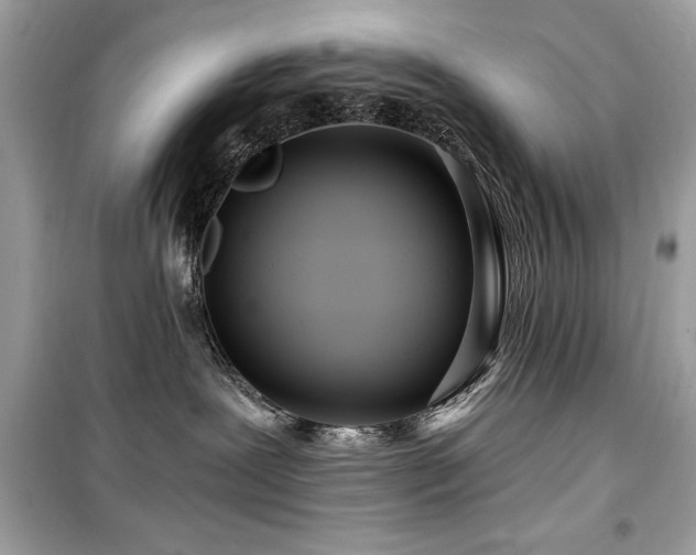 X0000099580239200805161243