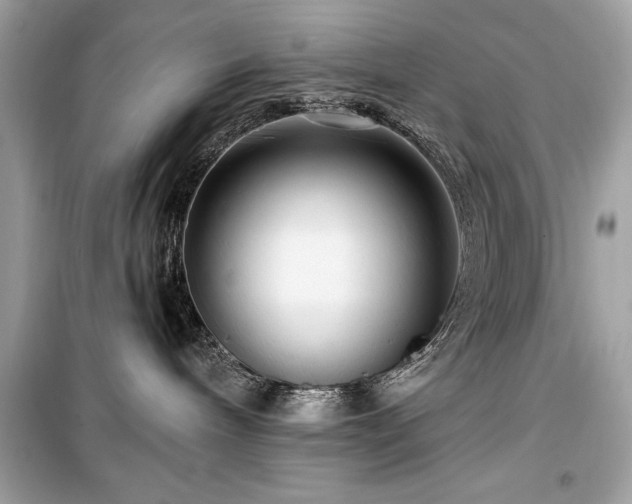 X0000099580240200805161243