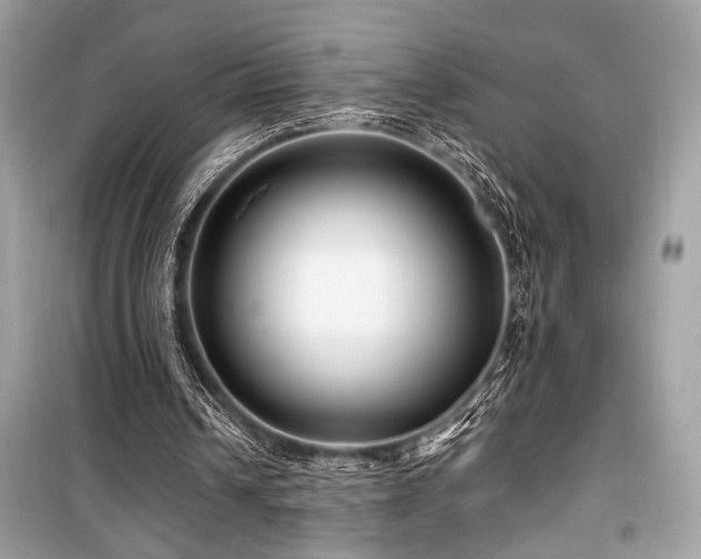 X0000099580242200805161242