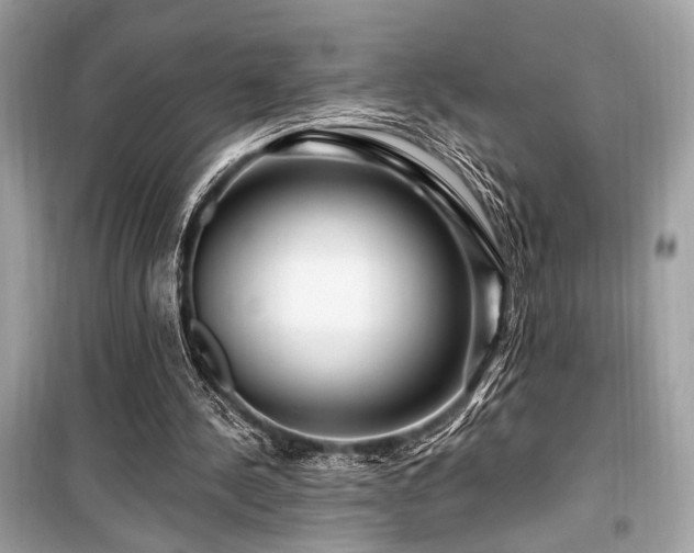 X0000099580244200805161242