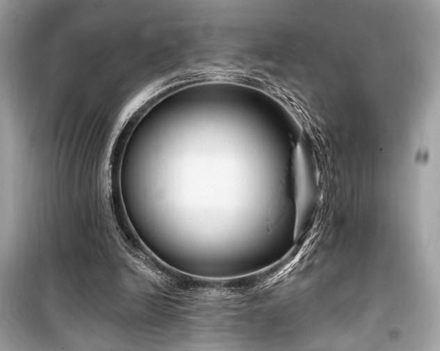 X0000099580246200805161243