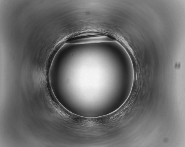 X0000099580249200805161243