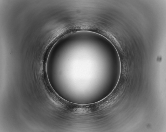 X0000099580251200805161243