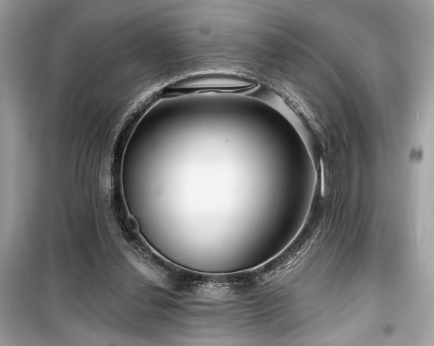 X0000099580252200805161243