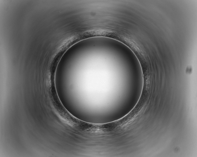 X0000099580254200805161243