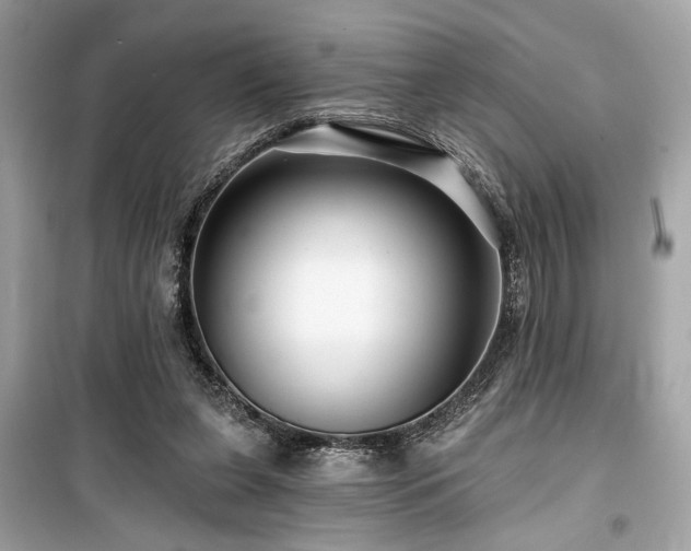 X0000099580255200805161243